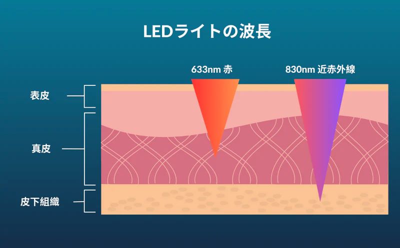 臨床的に証明されたLED波長のみを使用しているカレントボディLEDマスク